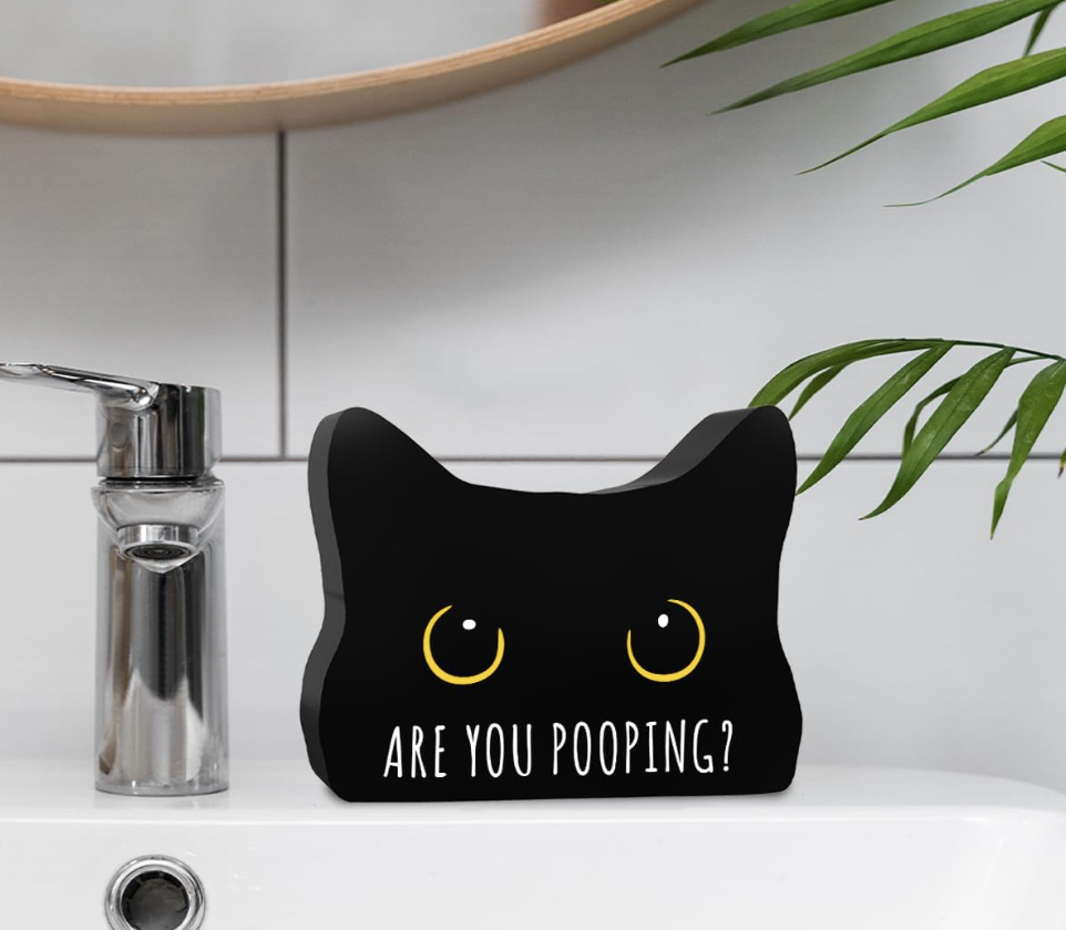 The “Are You Pooping?” Funny Bathroom Acrylic Decor Sign